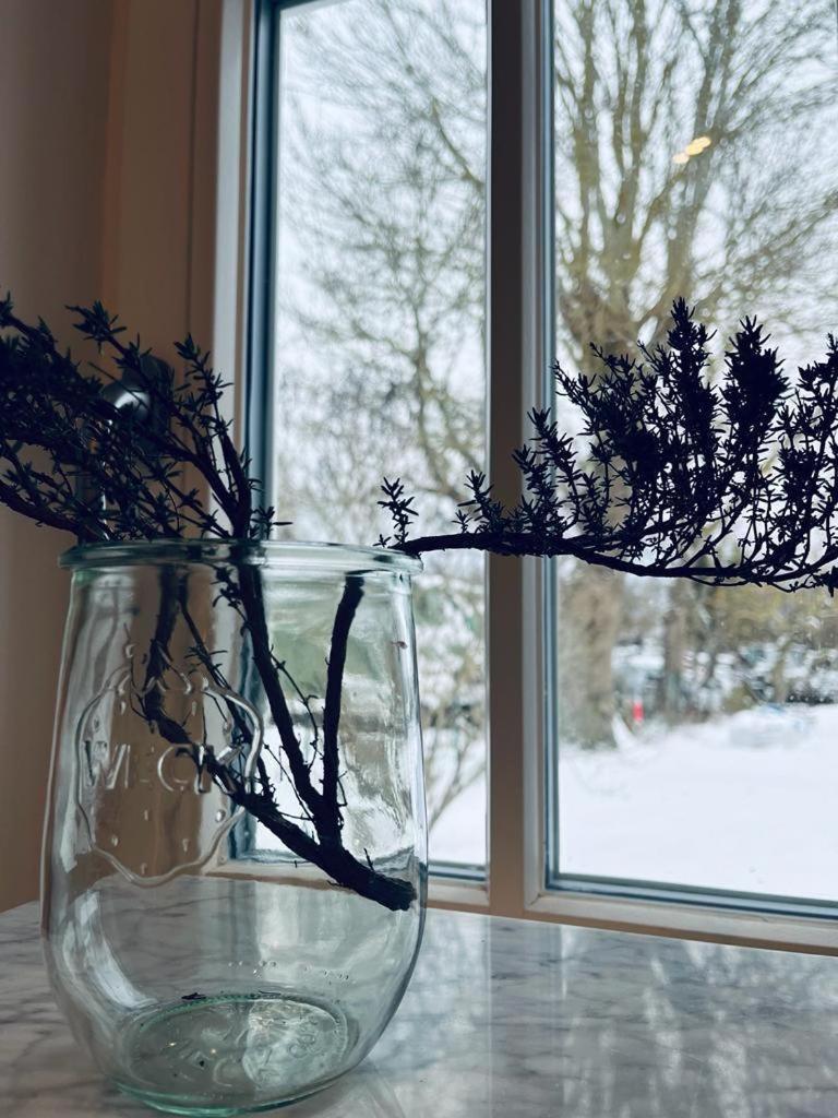 Ferienhaus Slichtemolen Hessenburg エクステリア 写真